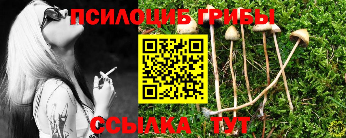 Чебоксары  Галлюциногенные грибы мицелий  Вход с VPN 